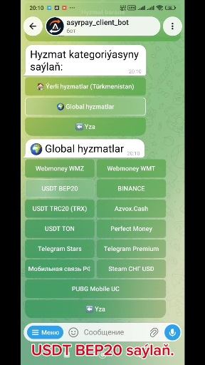 howto-bot/usdt-bep20-bot-tm/03-bep20-selected.jpg