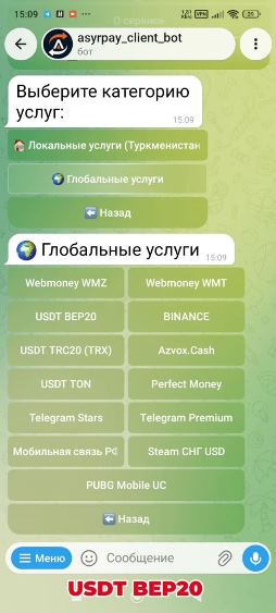 howto-bot/usdt-bep20-bot/03-bep20-selected.jpg