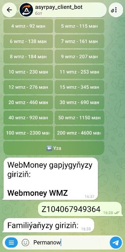 howto-bot/wmz-bot-tm/06-passport-lastname.jpg