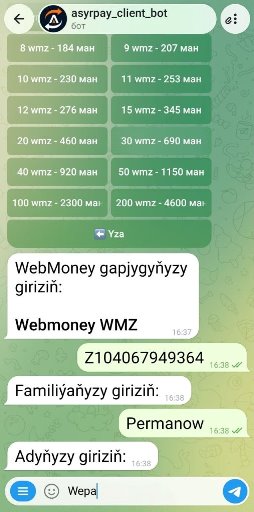 howto-bot/wmz-bot-tm/07-passport-firstname.jpg