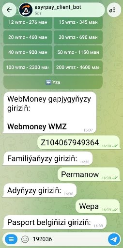 howto-bot/wmz-bot-tm/08-passport-number.jpg